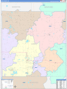 Lake County Wall Map Color Cast Style