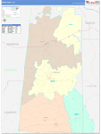 Lamar County Wall Map Color Cast Style