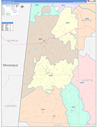 Lamar County Wall Map Color Cast Style