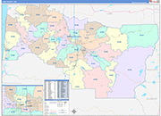 Lane County Wall Map Color Cast Style