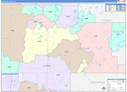 Langlade County Wall Map Color Cast Style