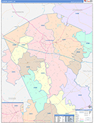 Laurens County Wall Map Color Cast Style