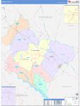 Laurens County Wall Map Color Cast Style