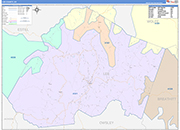 Lee County Wall Map Color Cast Style