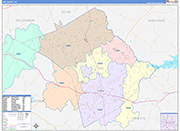 Lee County Wall Map Color Cast Style