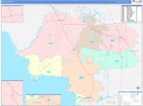 Levy County Wall Map Color Cast Style