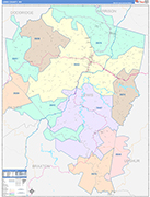 Lewis County Wall Map Color Cast Style