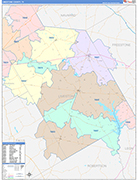 Limestone County Wall Map Color Cast Style