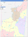 Lowndes County Wall Map Color Cast Style