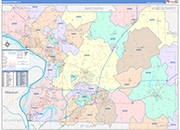 Madison County Wall Map Color Cast Style