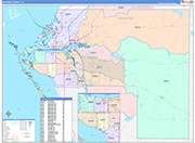 Manatee Wall Map Color Cast Style