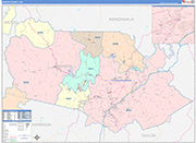 Marion County Wall Map Color Cast Style
