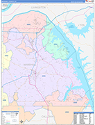 Marshall County Wall Map Color Cast Style