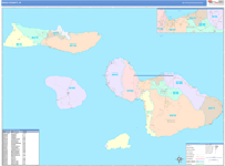 Maui County Wall Map Color Cast Style