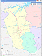 McDuffie County Wall Map Color Cast Style