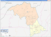 Mitchell County Wall Map Color Cast Style