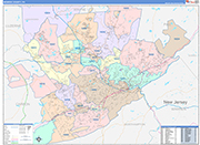 Monroe Wall Map Color Cast Style