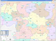 Montcalm County Wall Map Color Cast Style