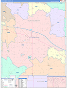 Montgomery Wall Map Color Cast Style