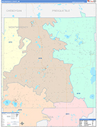 Montmorency County Wall Map Color Cast Style