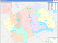 Navarro County Wall Map Color Cast Style