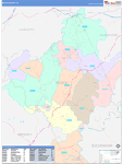 Nelson County Wall Map Color Cast Style