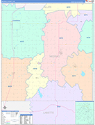 Neosho County Wall Map Color Cast Style