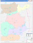 Newaygo County Wall Map Color Cast Style