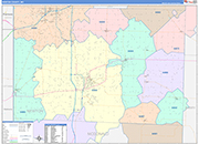 Newton County Wall Map Color Cast Style