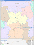 Newton County Wall Map Color Cast Style