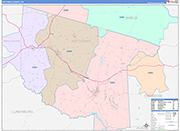 Nottoway County Wall Map Color Cast Style