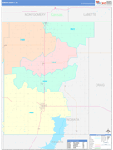 Nowata County Wall Map Color Cast Style