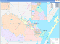 Nueces County Wall Map Color Cast Style