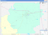 Oktibbeha County Wall Map Color Cast Style