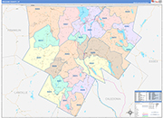 Orleans County Wall Map Color Cast Style