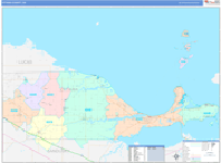 Ottawa County Wall Map Color Cast Style