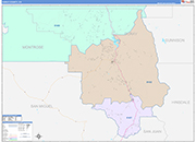 Ouray Wall Map Color Cast Style