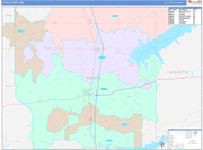 Panola County Wall Map Color Cast Style