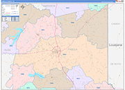 Panola County Wall Map Color Cast Style