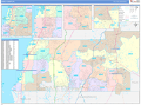 Pasco County Wall Map Color Cast Style