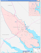 Pasquotank County Wall Map Color Cast Style