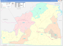 Patrick County Wall Map Color Cast Style