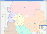 Payette Wall Map Color Cast Style