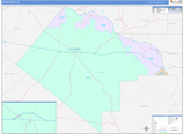 Pecos County Wall Map Color Cast Style