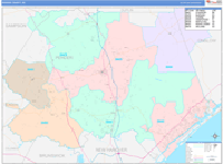 Pender County Wall Map Color Cast Style