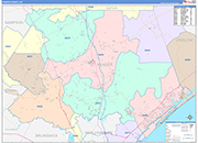 Pender County Wall Map Color Cast Style