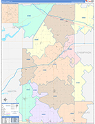Piatt County Wall Map Color Cast Style