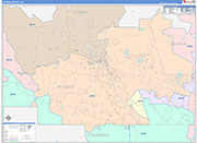 Pickens County Wall Map Color Cast Style