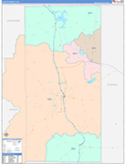 Platte County Wall Map Color Cast Style