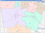 Polk County Wall Map Color Cast Style